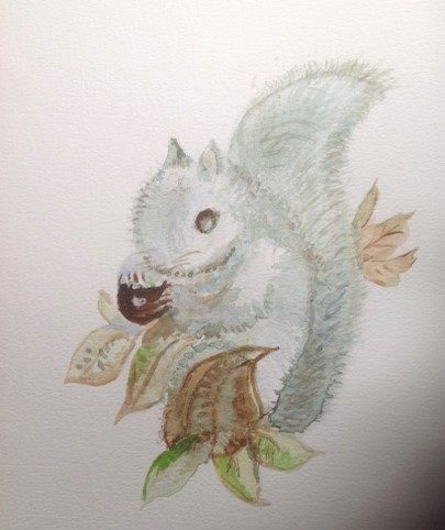 Kath, Squirrel, watercolour.